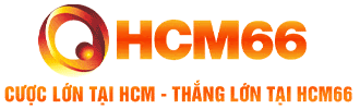 HCM881